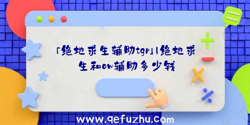 「绝地求生辅助tgp」|绝地求生和ow辅助多少钱